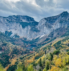 Das Bild zeigt die Berge und Wälder