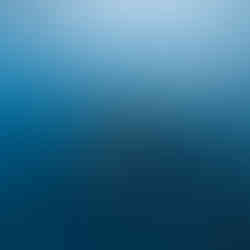 Mobula Rays in Mexico