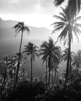 Landscape Photographer Hawaii Photography 33.jpg