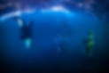 kingfish-orca-diver-mads-odgaard-by-tobias-friedrich.jpg