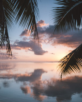 Landscape Photographer Hawaii Photography 78.jpg