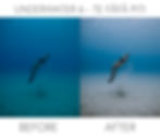 Thumbnail: Underwater Preset Pack