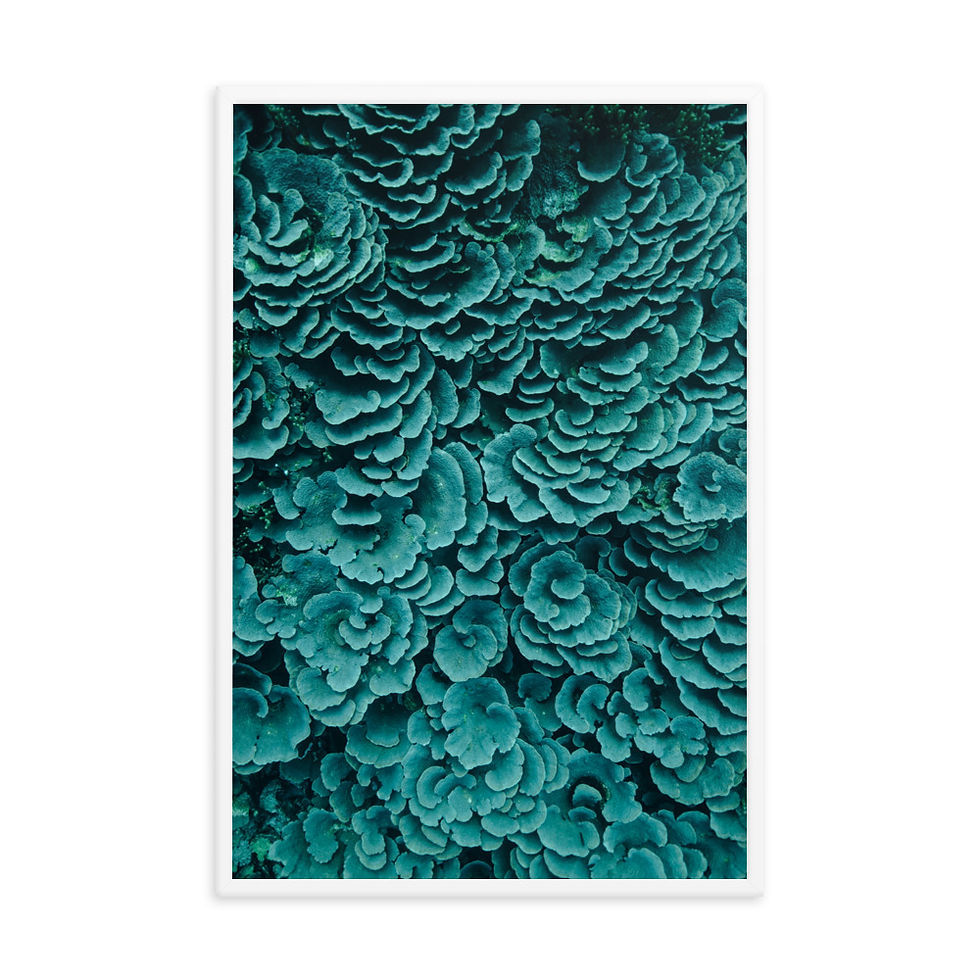 Miniature : Reef Layers