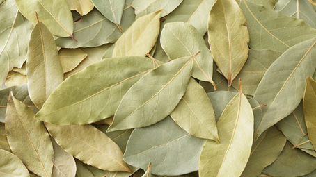 What Does a Bay Leaf Actually Do?
