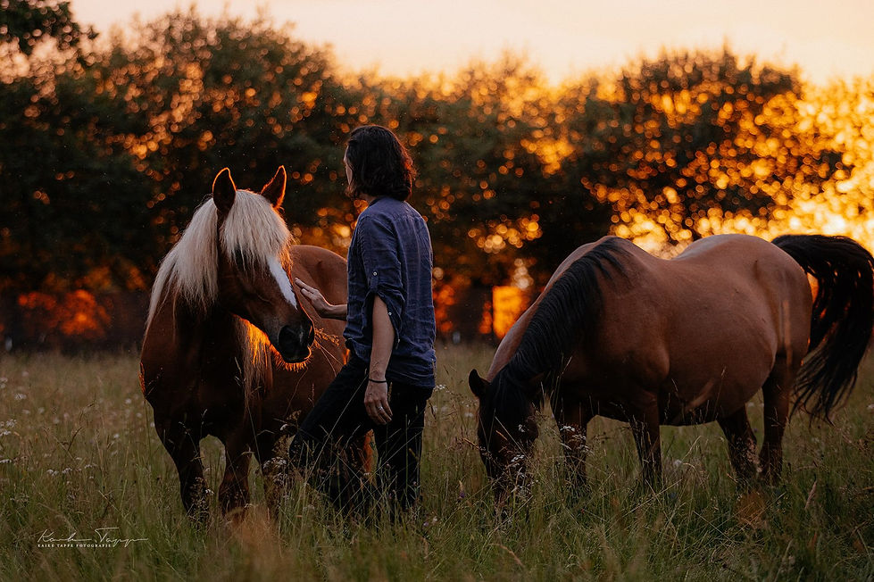 lockie-phillips-emotional-horsemanship-kaike-tappe-photography-2538_websize.jpg