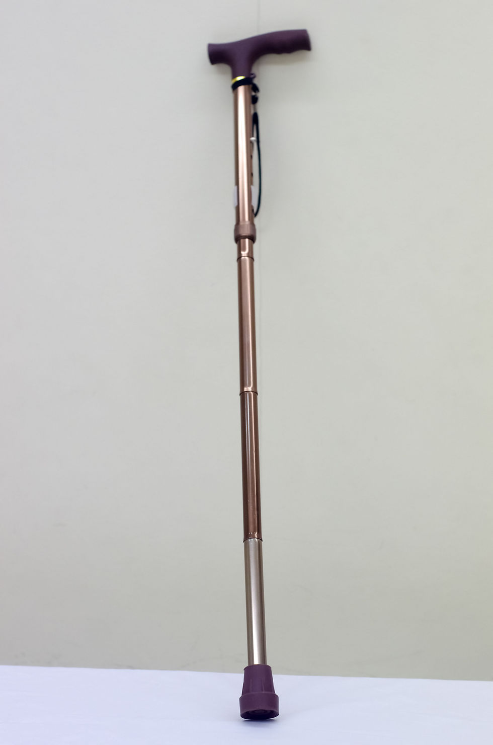 184. Single Cane Folding (2)