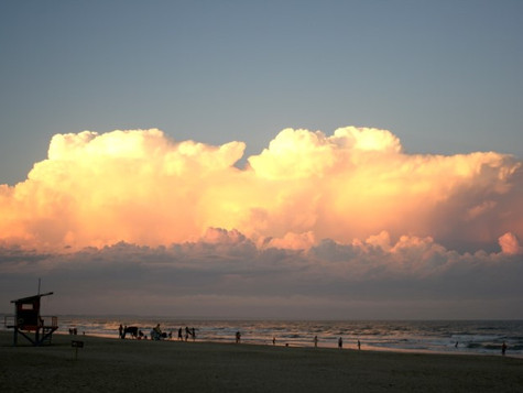 untitled image