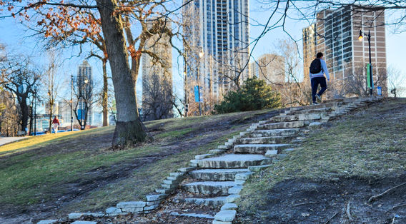 man walking up the steps by the south pond feb 23.JPG