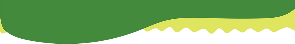 Asset 31.png