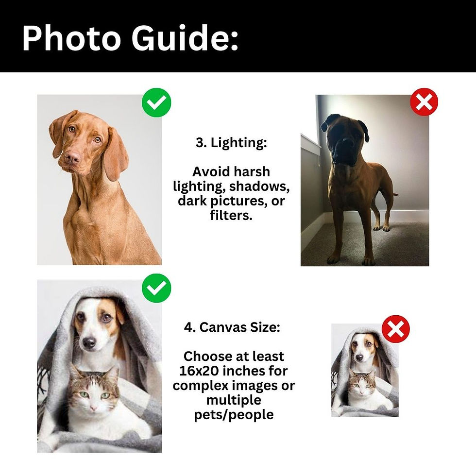 Thumbnail: Premium Paint Your Pet by Numbers Kit