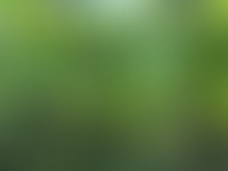 Dr. George Washington Carver Edible Park Community Workday