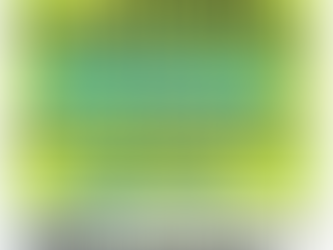 Riverfront Recover Survey