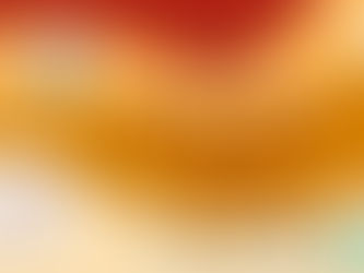 The WNC Seed & Plant Swap!