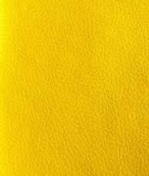 AMARELO 2.jpg