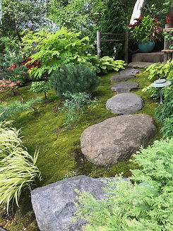 A stone path lined with bright green moss