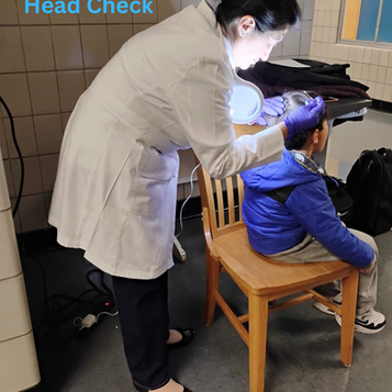 What to Do After Receiving a Lice Notification