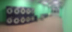 Muriel - She's Insaint