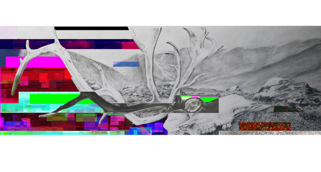 Skull w drawing 5.png