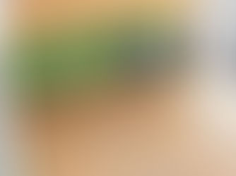 Laminate vs. Vinyl Flooring: Which is Right for Your Home?