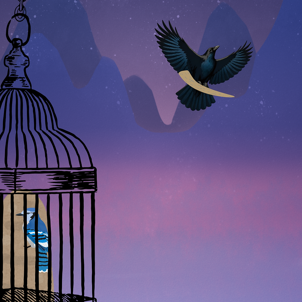 Blue bird trapped in a cage at left while a black bird flies free against a purple starry sky, evoking freedom and confinement