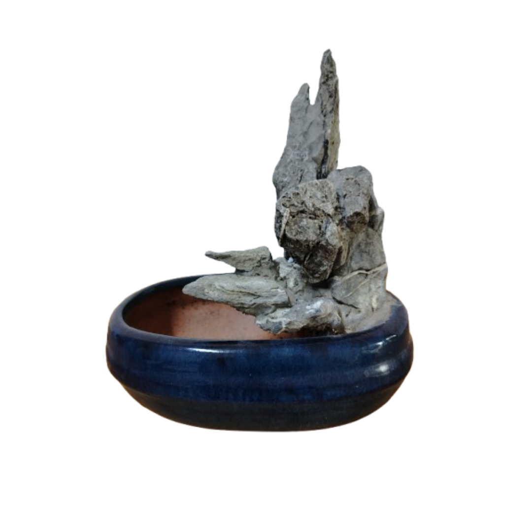 Maceta Bonsai con piedra 20L x 14 a x 7 h