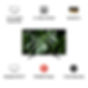 Thumbnail: Sony 127 cm (50 inch) Full HD LED TV (Black, KLV-50W672G)