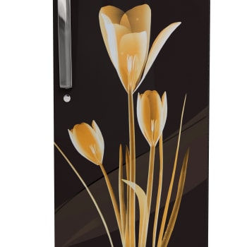 Thumbnail: Haier 192 Litres 3 Star Direct Cool Single Door Refrigerator