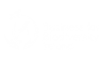 B4B_white_Ireland_web (1).png