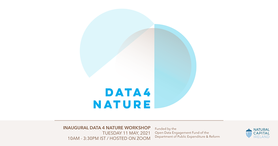 D 4 N Conference 20212 (1).png
