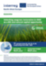 Interreg North-West Europe REBORN. Co-funded by the European Union. Unlocking seagrass restoration in NWE as a BGI and natural capital opportunity
Climate and environment.
11 partners from NL, BE, FR, IE, DE. Cooperating from 2026 - 2029.
EU funding €2,9 million. Total project budget €4,9 million.
Objectives: REBORN unlocks seagrass restoration at scale (>1 ha) in NWE for biodiversity and natural capital gains by simultaneously driving seagrass-related governance, practice and capacity-building to: Drive long-term seagrass restoration governance and policy change in NWE through a multi-actor community of >30 organisations; Test a novel restoration model in -15 ha in collaboration with 250 community members and facilitate its uptake to up to 50,000 ha across NWE; Increase the capacity of 40 organisations (practitioners, community members, businesses, policy makers) as seagrass restoration ambassadors through tailored capacity building modules.
reborn.nweurope.eu
Map:EuroGeographics Association for the administrative boundaries (NUTS regions).