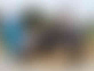 A group of people sitting on hay bales in front of a scarecrow at the National Botanic Gardens in Glasnevin. The greenhouse is visible in the background and there is a pull-up banner which reads "Central Statistics Office - Ecosystem Accounts Stakeholder Forum - Thursday 16 October 2025, National Botanic Gardens Dublin".