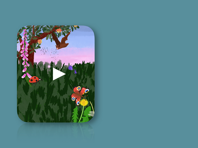 Animated nature scene with insects and animals