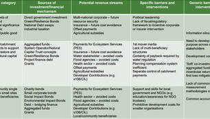 How can we drive investment in natural capital?