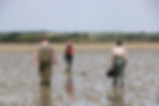 REBORN team monitoring the site at Killala Bay