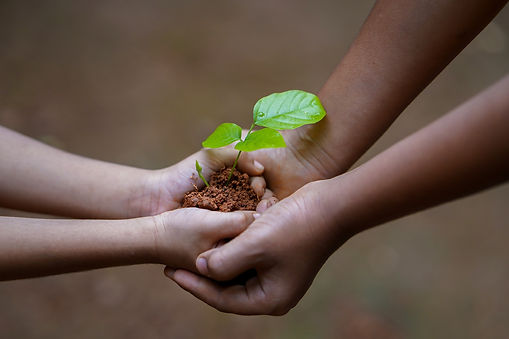 hands-g89c36dc30_1920.jpg