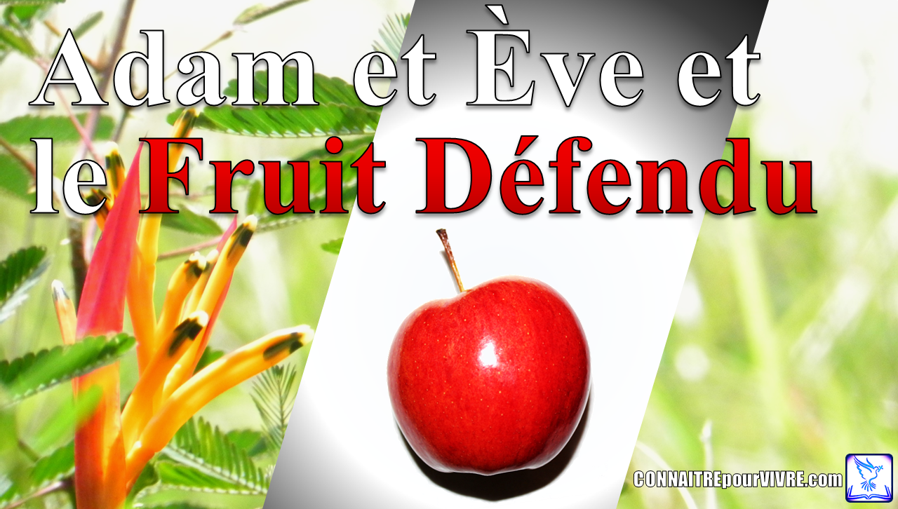 fruit defendu dans la bible fruit defendu dans la bible