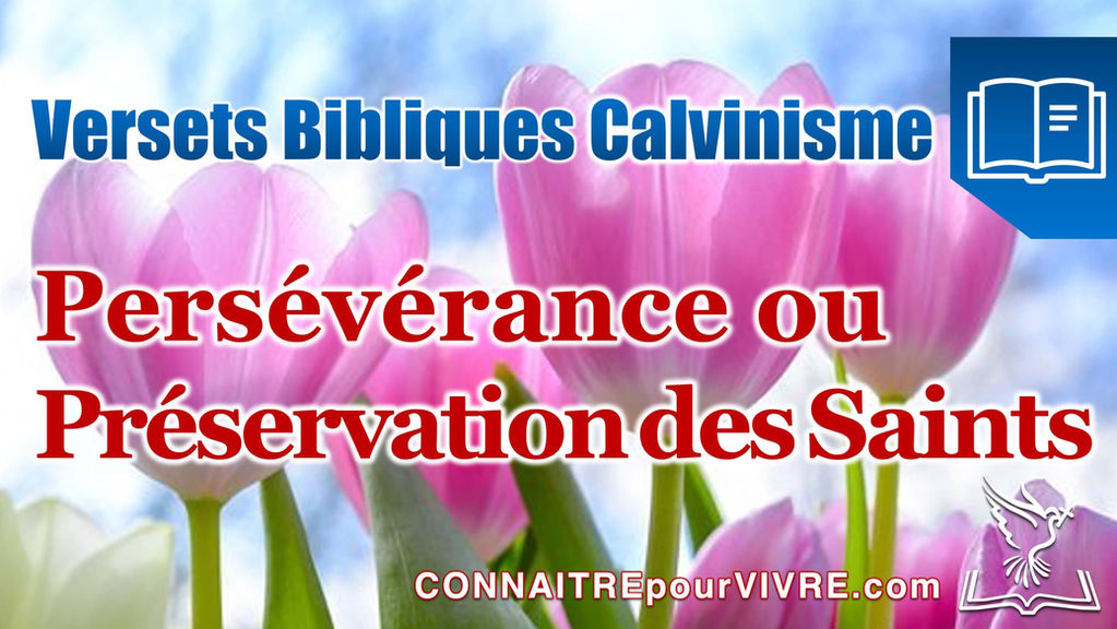 10 Versets Bibliques Sur La Preservation Ou Perseverance Des Saints