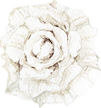 Amaranthus19.png