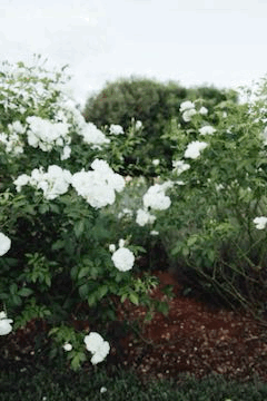 GIF-2026-02-23-13-27-15.gif
