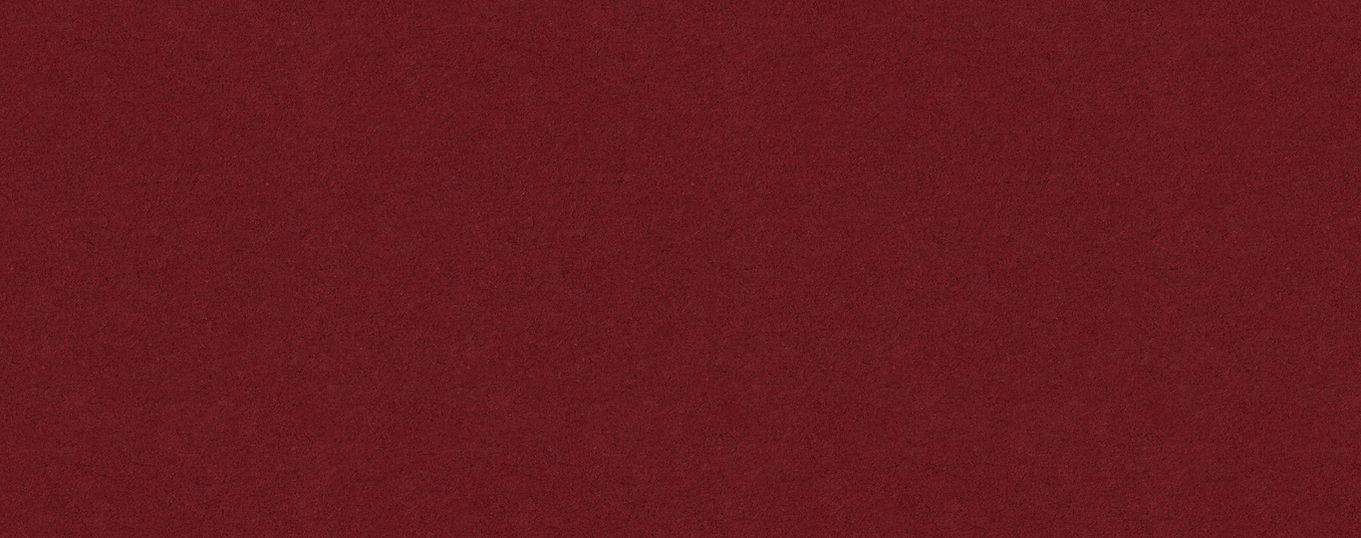 1342_edited.jpg