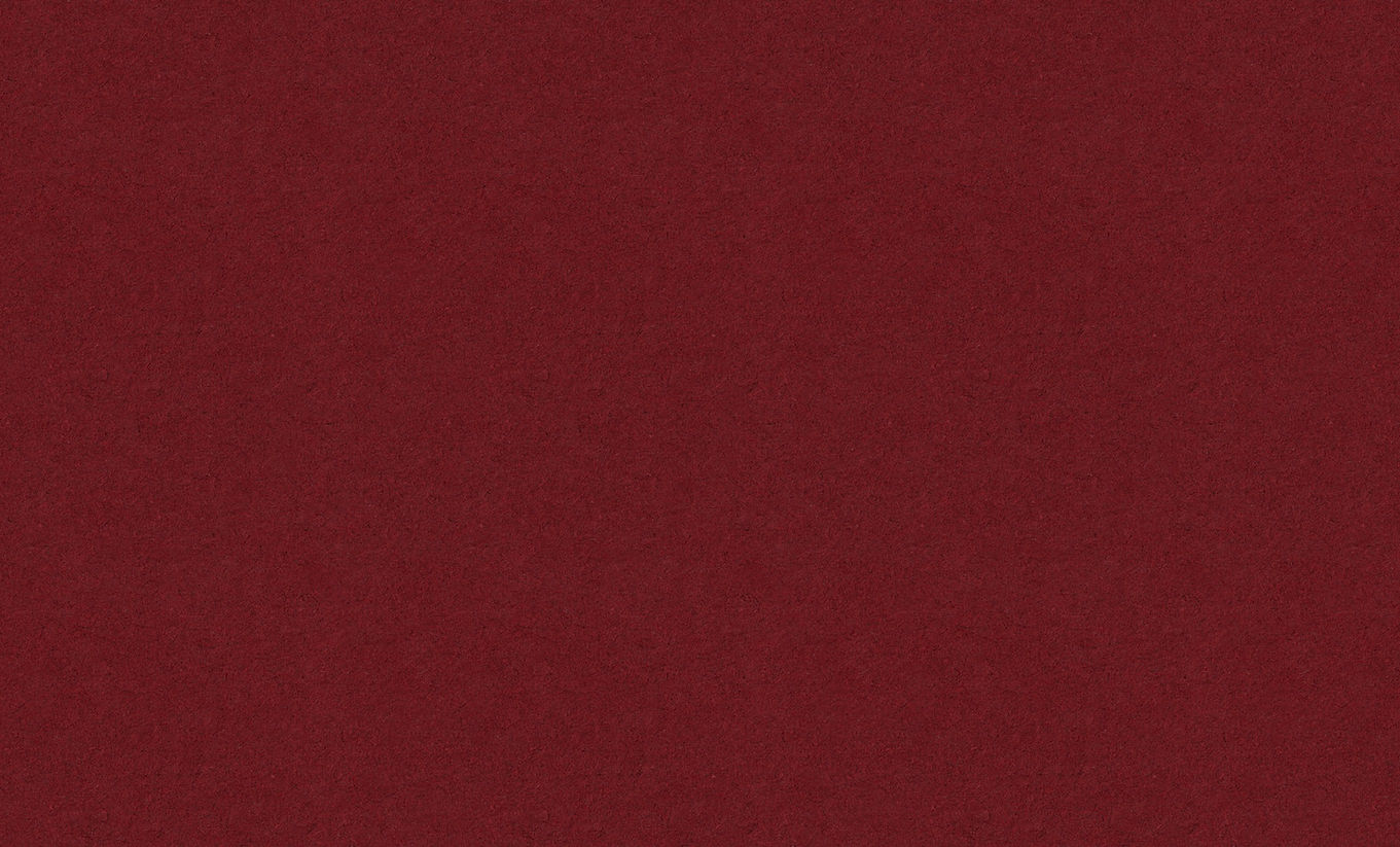 1342_edited.jpg