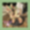 IMG_6265.PNG
