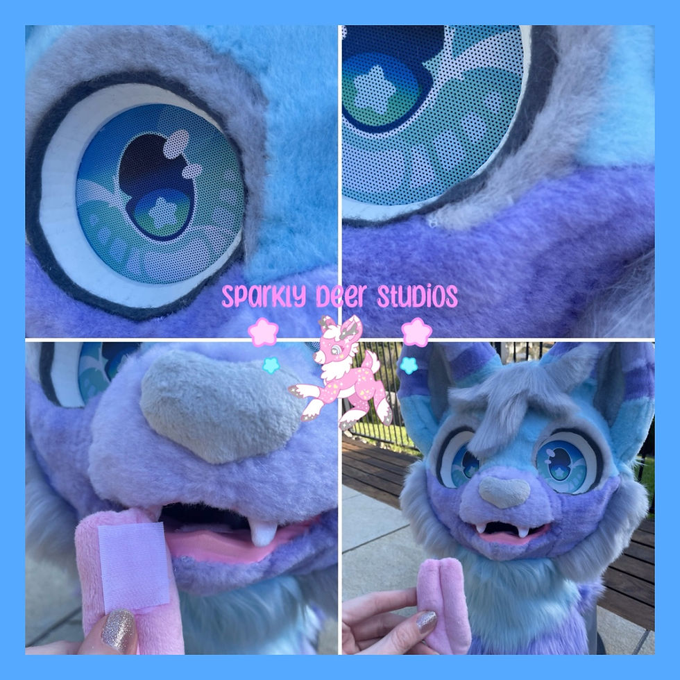 Thumbnail: Blizzard the Feline