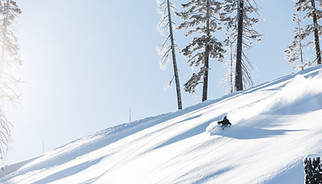 Skier Image