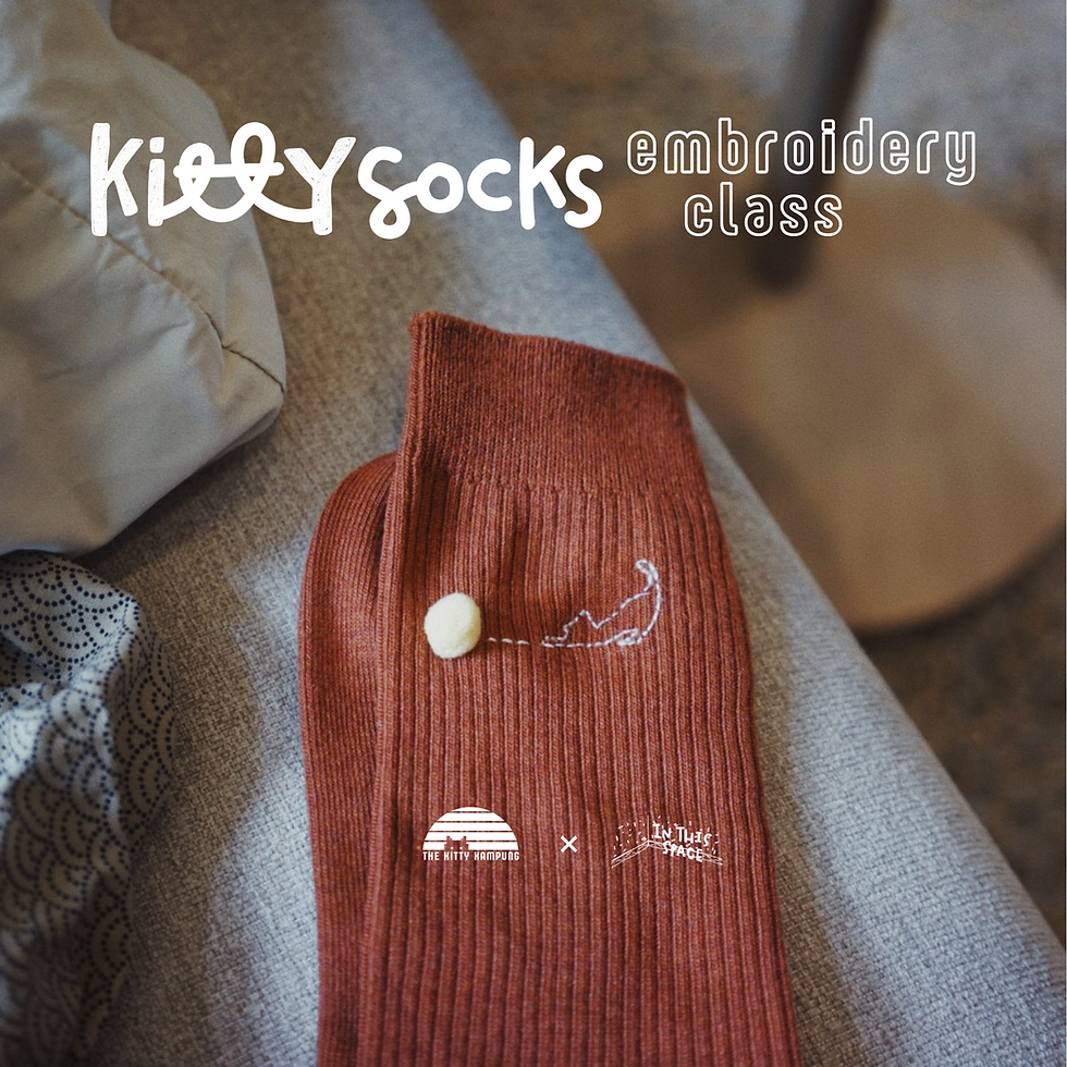 A pair of socks with embroidery of cat chasing a ball