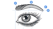 Untitled design (31).png