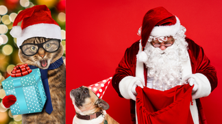 Holiday Humor