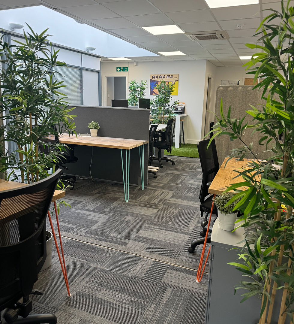 Co Working Open Plan Office