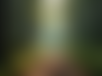 Reconnectez avec la nature pour une vie harmonieuse