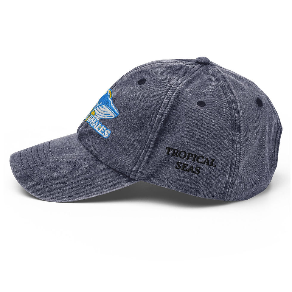 Miniatura: Vintage Save the Whales Hat